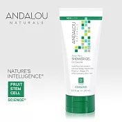 【ANDALOU安德魯】蘆薈薄荷沐浴乳 251ml
