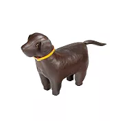 Omersa Labrador 拉布拉多犬(小)