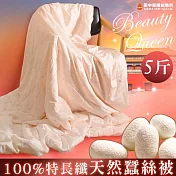 《田中保暖試驗所》5臺斤 冬季 100%純手工天然長纖蠶絲被 3kg 6x7尺 頂級臺灣手工 附保證書 貼身柔暖