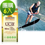 Sundown日落恩賜 勇健UCII®非變性二型膠囊(60粒x6瓶)組