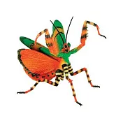 【4D MASTER】立體拼組模型昆蟲系列-魔花螳螂 FLOWER MANTIS 20217B/26585
