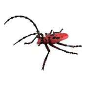 【4D MASTER】立體拼組模型昆蟲系列-天牛 LONGHORN BEETLE 20217C