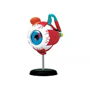 【4D MASTER】立體拼組模型人體解剖教學系列-眼球 626006
