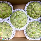 【台灣好食材】-李俊儀釋迦大目釋迦(禮盒5斤裝-4粒)