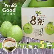 【鮮食優多】森芭樂園•芭樂郭爸爸-珍珠芭樂(5斤/盒)