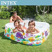 【INTEX】海底動物方型戲水游泳池159x159x50cm (340L)3歲+(57471N)