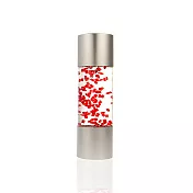 【賽先生科學工廠】Paradoxtime 懸浮計時器-量子系列量子紅