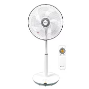 Panasonic國際牌14吋經典型DC直流遙控立扇 F-S14DMD