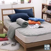 【法國Jumendi】台灣精製防蹣抗菌保潔墊-雙人(五款可選)-自信灰