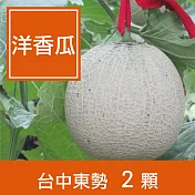【一籃子】台中東勢【藍寶石洋香瓜】2顆禮盒裝