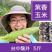 【一籃子】台中龍井【無毒紫香玉米】5斤