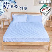 《DUYAN 竹漾》臺灣製高效防潑水透氣床包式保潔墊- 睡美人藍