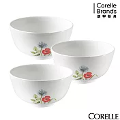 【美國康寧 CORELLE】花漾彩繪3件式中式飯碗組(C02)