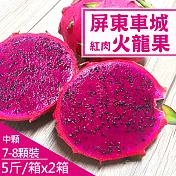 【產地直送】屏東車城紅肉火龍果5斤X2箱(約7-8顆/箱)