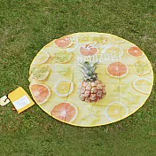 【DESTINO STYLE】日本仿真水果野餐墊 海灘墊 公司貨 防水-鳳梨