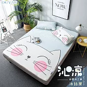 《DUYAN 竹漾》3D透氣沁涼冰絲蓆-腮紅貓