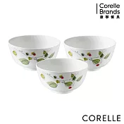 【美國康寧 CORELLE】綠野微風3件式中式飯碗(C02)