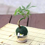 【迎光】萌寵卡通綠苔球-史奴比