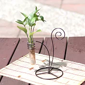 【迎光】時尚鑄鐵水晶植栽