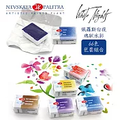 俄羅斯 3K Nevskaya Palitra - WhiteNights 白夜 專家級塊狀水彩 全塊 66色 散裝包色 (共含A級58色、B級8色)