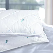 澳洲Simple Living 防蹣抗菌防潑水保潔枕套--二入(台灣製)