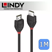 LINDY 林帝 BLACK系列 HDMI 2.0(Type-A) 公 to 公 傳輸線 1m (36471)