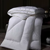 澳洲Simple Living 單人緹花天絲舒眠暖冬被