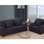 【巴芙洛】環保色系超柔軟彈性沙發套-2人座-黑色