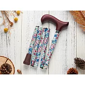 《Merry Sticks 悅杖》繽紛生活折疊手杖-春暖