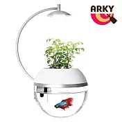 ARKY 香草與魚Herb&Fish®X