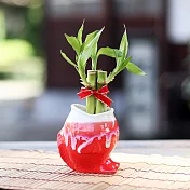 【迎光】鯉躍龍門陶瓷植栽