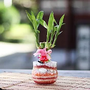 【迎光】粉紅豬開運竹