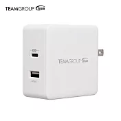 Team十銓科技 急速旅行充電器(支援全電壓)WD03白