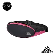 Gregory 2.5L TAILRUNNER腰包黑/粉