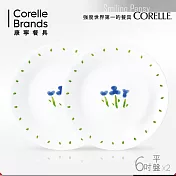 【美國康寧 CORELLE】微笑三色堇6吋平盤-2入組(PELP0204)