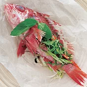 永豐餘生技GREEN&SAFE-現撈野生海魚 - 石狗公(小)