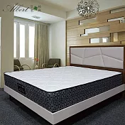 【Albert 艾柏】艾柏 防蹣抗菌6尺雙人加大獨立筒床墊(6x6.2尺)