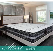 【Albert 艾柏】艾柏 奈米抗菌5尺雙人獨立筒床墊(5x6.2尺)