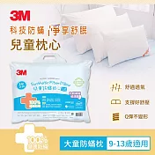 3M 大童防蹣枕心-附純棉枕套(9-13歲適用)