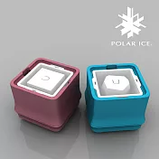 POLAR ICE 極地冰盒二代新色-雙個超值組