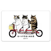 【受託代銷】icash2.0 不可思議的貓世界(含運費)