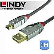 LINDY 林帝CROMO 鉻系列 USB2.0 Type-A/公 to Mini-B/公 傳輸線 1m (36631)