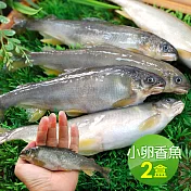 【優鮮配】 宜蘭帶卵小香魚2盒(11-17尾裝/920g/盒)免運組