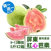 【產地直送】屏東紅心芭樂5台斤X2箱(8-11顆/箱)