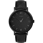 【TIMEX】天美時 風格系列 極簡手錶  (黑TXTW2T34900)