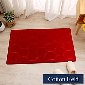 棉花田【威力】超細纖維吸水防滑踏墊-4色可選(二件組) 晶豔紅