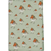 《CreativeTops》Wild純棉布巾(知更鳥)