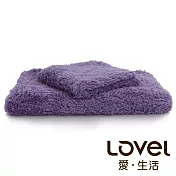 Lovel 7倍強效吸水抗菌超細纖維毛巾/方巾2件組(共9色)柔綿紫