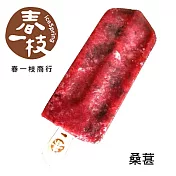 【春一枝】天然手作冰棒-桑葚(6入)