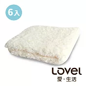 Lovel 7倍強效吸水抗菌超細纖維方巾6入組(共9色)棉花白